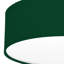 Parvin Flush Mount-1222393052