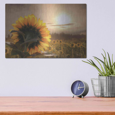 'Sunlit Sunflower' by Lori Deiter, Metal Wall Art,