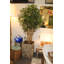 150cm Bamboo Tree in Planter