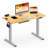 Eric Height Adjustable Standing Desk, 100% Bamboo Desktop-796140284-796140166