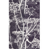Cow Parsley Floral Wallpaper Roll