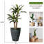 Plante à feuillage artificiel 68 po Panama