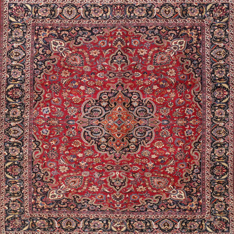 Adamina Oriental Indoor Rug, Square 8'