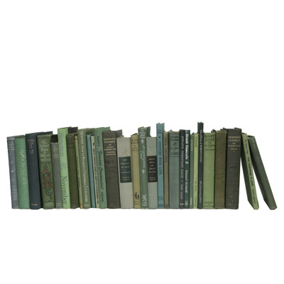 Livres décoratifs - Petits livres en buis rétro - Livres verts au pied