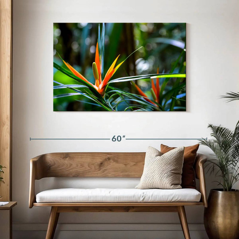 Harnek, oiseaux tropicaux du paradis