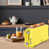 Yellow is out of stock