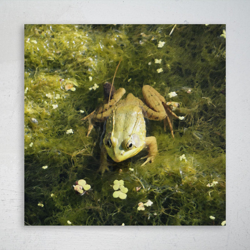 «Green Frog On Green Water Lily Pad», reproduction d'art graphique carré sur toile tendue, H 12 po x l 12 po x P 2 po