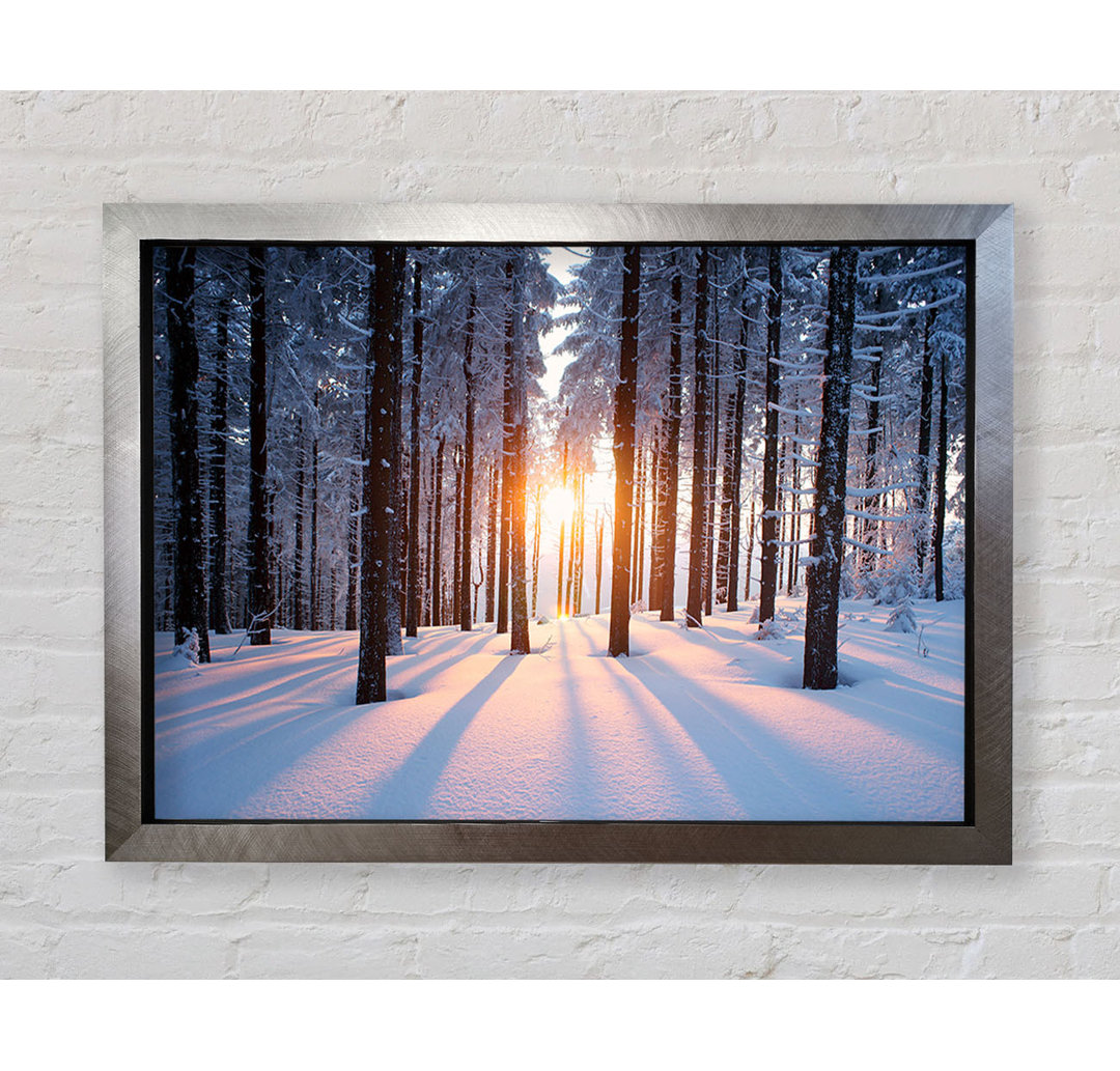 Sun Burst Snow Trees - Einzelne Bilderrahmen Kunstdrucke