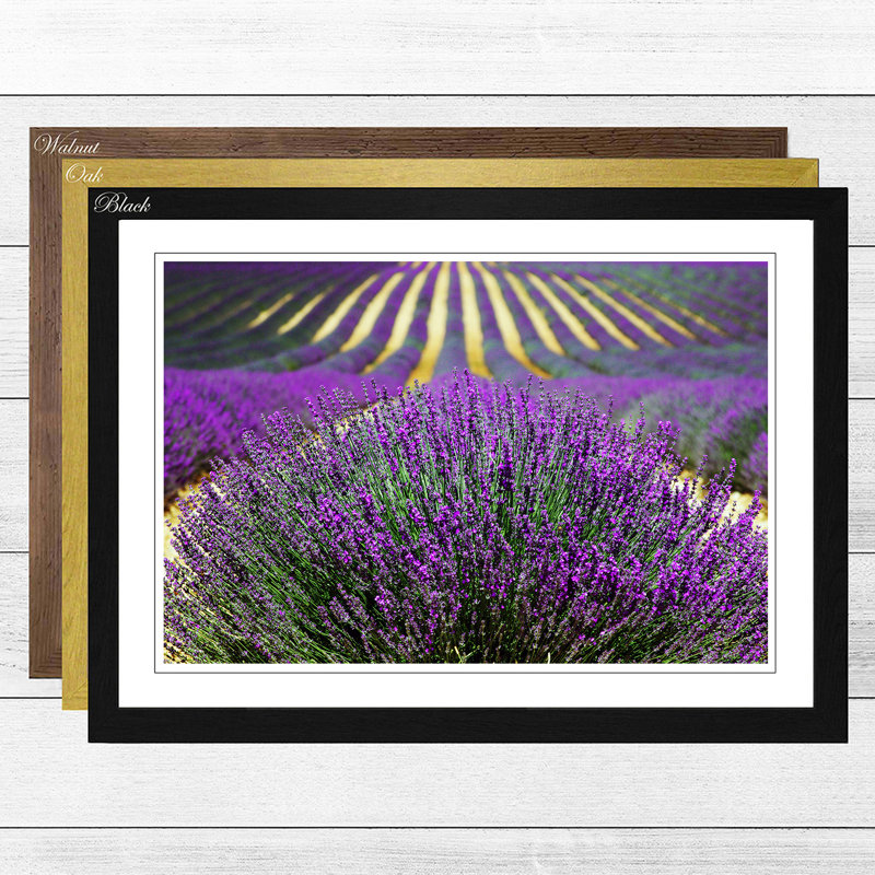 Single Picture Frame Print, Walnut