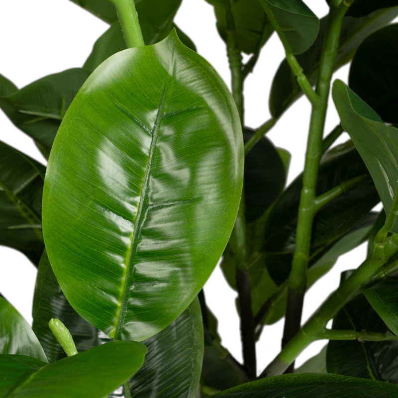 140cm Plant
