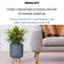 Honeycomb Style Cylinder Round Planter with Feet-379134895