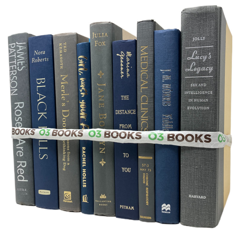 Livres décoratifs Beveridge Sleek and Chic - Bleu marine et gris