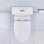 Toilette allongée une pièce à double chasse, jupe et siège à fermeture en douceur-120838962