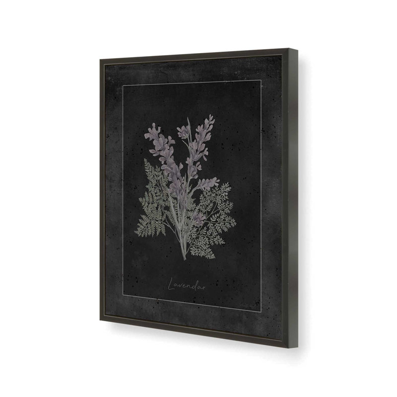 «Lavendar Botanical on Black» par Cindy Jacobs, reproduction d'art, L 30 x H 40, Noir, Impression encadrée