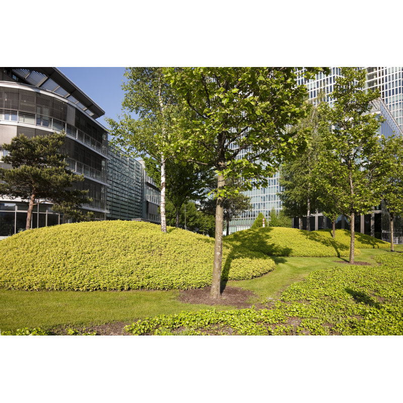 Modern Glass Office Building by Bim, 32" H x 48" W