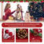 Christmas Decorative Accent