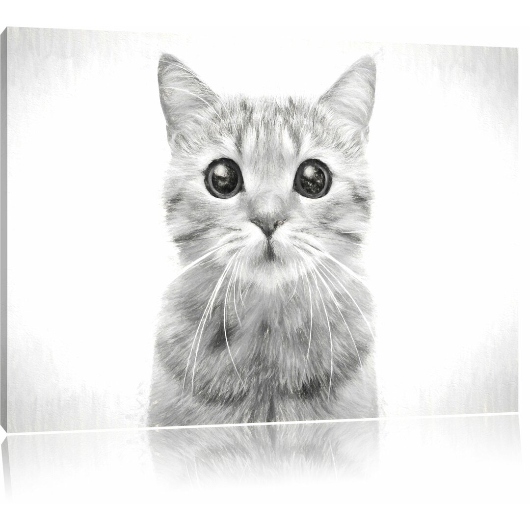 Leinwandbild "Portrait einer Scottish Straight Katze", Grafikdruck