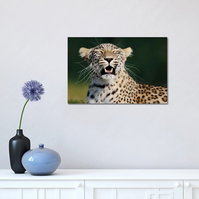 Smiling Leopard by Goran Anastasovski - Wrapped Canvas Print