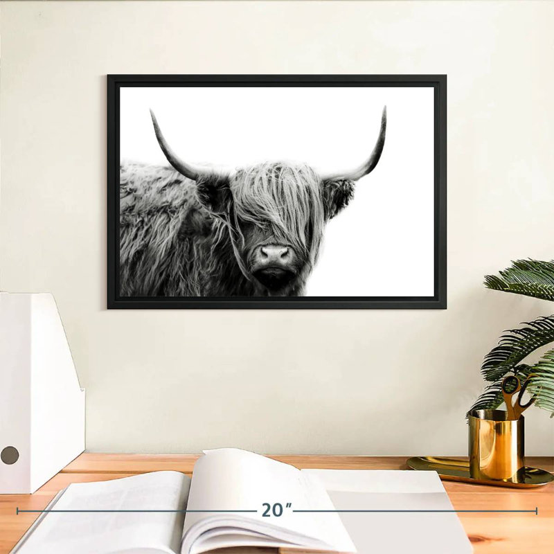 BW Highland Cow, 9" H x 13" W