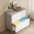 2-Drawer File Cabinet, Office Storage Cabinet For Home Office