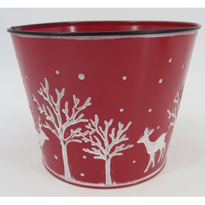 Celarian Indoor / Outdoor Cachepot
