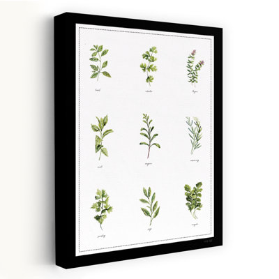 Garden Herbs by Cindy Jacobs - Wrapped Canvas Print
