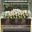 Brezinski Elevated Planter