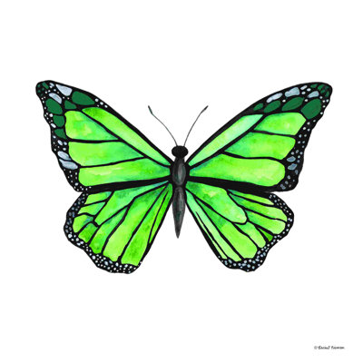 " Naturally Wonderful Butterfly "