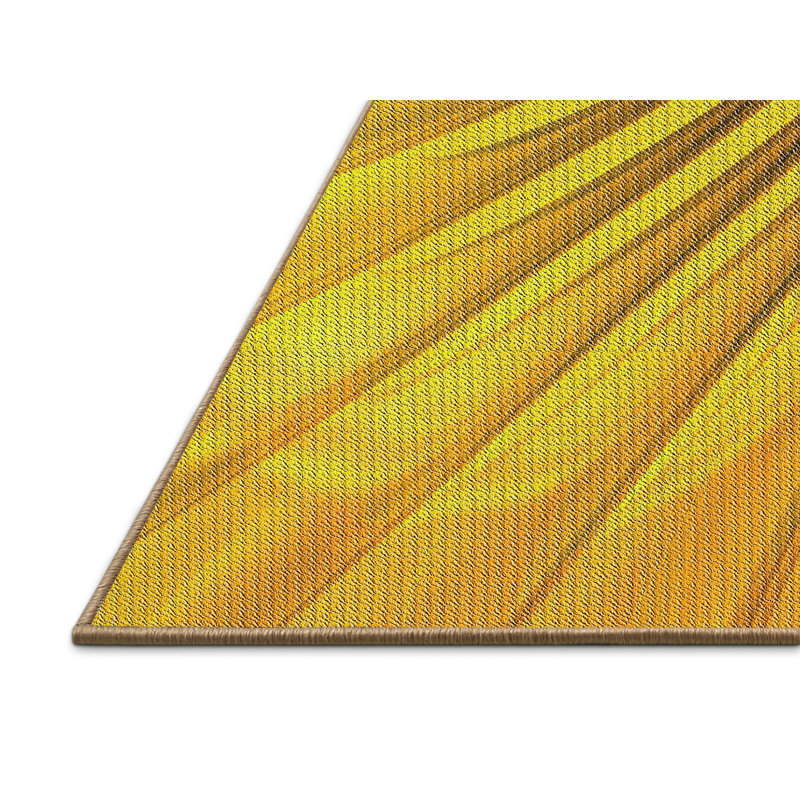 Indoor Rug, Rectangle 2' x 4'