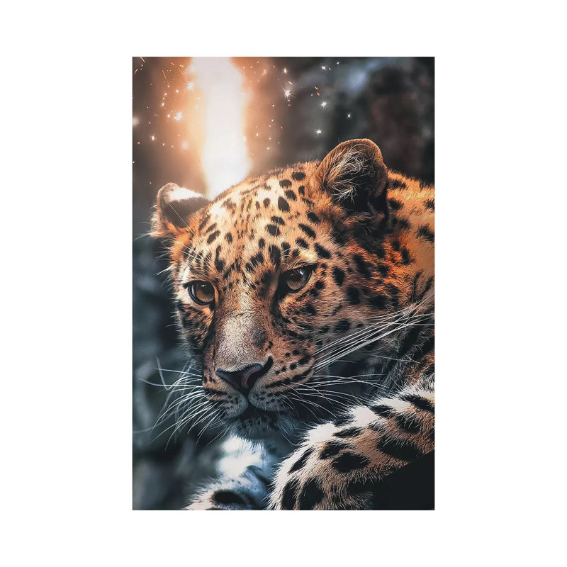 Leopard Sparkles by Zenja Gammer - Wrapped Canvas Print, 20.32 cm H x 30.48 cm W