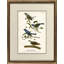Indigo Bunting Print