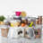 Daleah Stackable Airtight Sealed food storage containers -24 pieces, kitchen organization set, free of bisphenol A, used for storage rooms and grain storage-1734861990