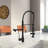 PENGFANG WORLDWIDE LLC Pull Down Kitchen Faucet