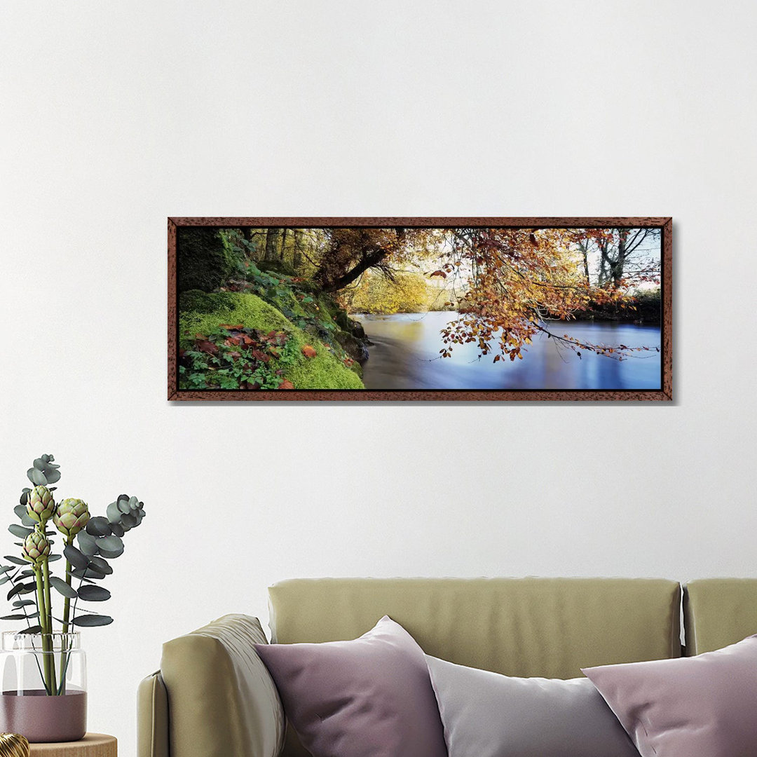 Trees Along A RiverRiver Dart, Bickleigh, Mid Devon, Devon, England von Panoramic Images - Floater Frame Panoramic Galle...