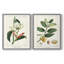 Reproduction encadrée Turpin Tropical Botanicals IX-Premium - prête à être accrochée-1325991306-1325991307