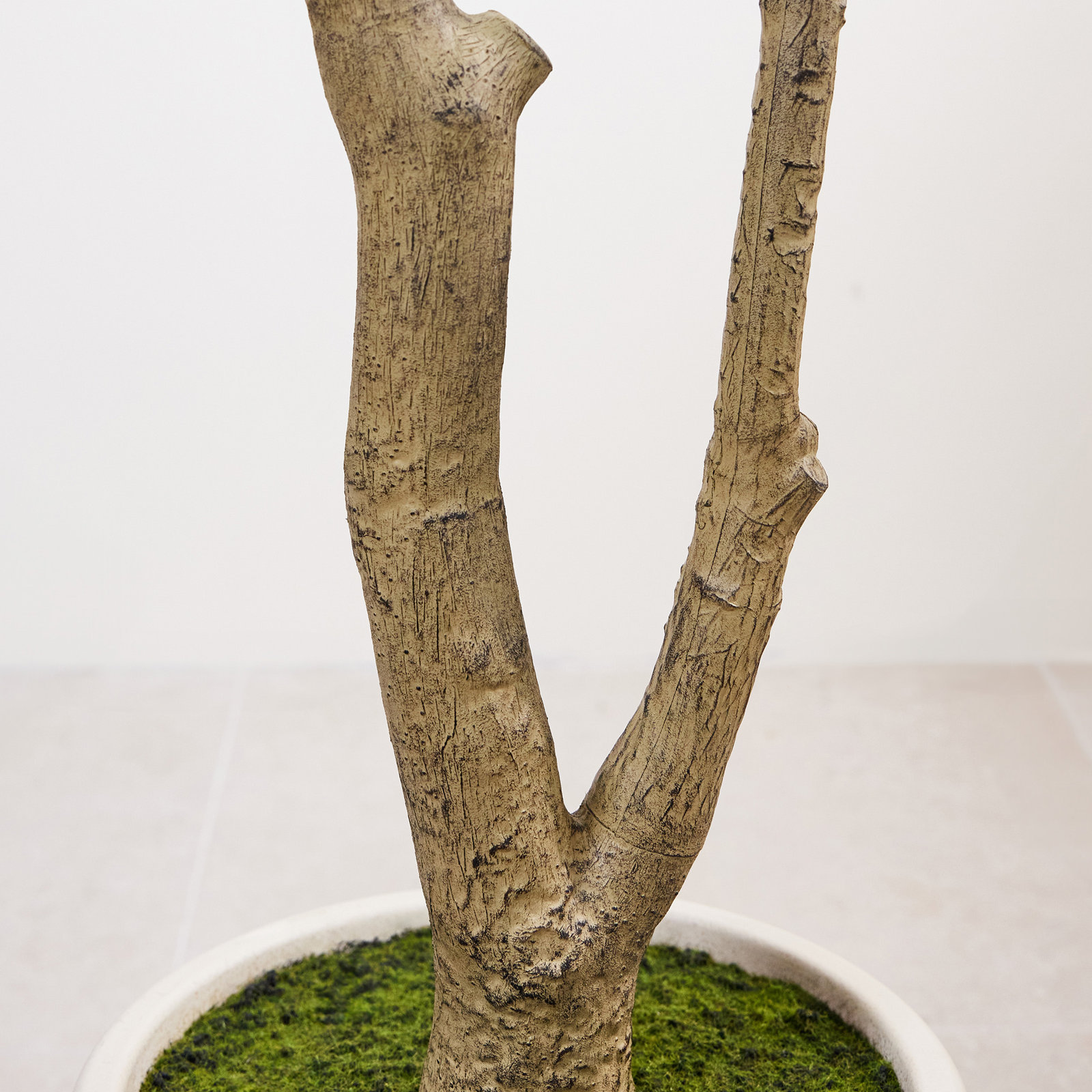 Olive Tree in Pot, 60" H x 26" W