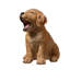 Animals Weather Resistant Polyresin Garden Statue