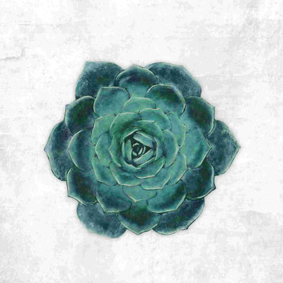 One Succulent Teal - peinture sur toile tendue