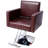 Beauty Shampoo Barbering Chair