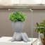 Mini plante grasse plante artificielle pour plantes grasses artificielles pour la maison