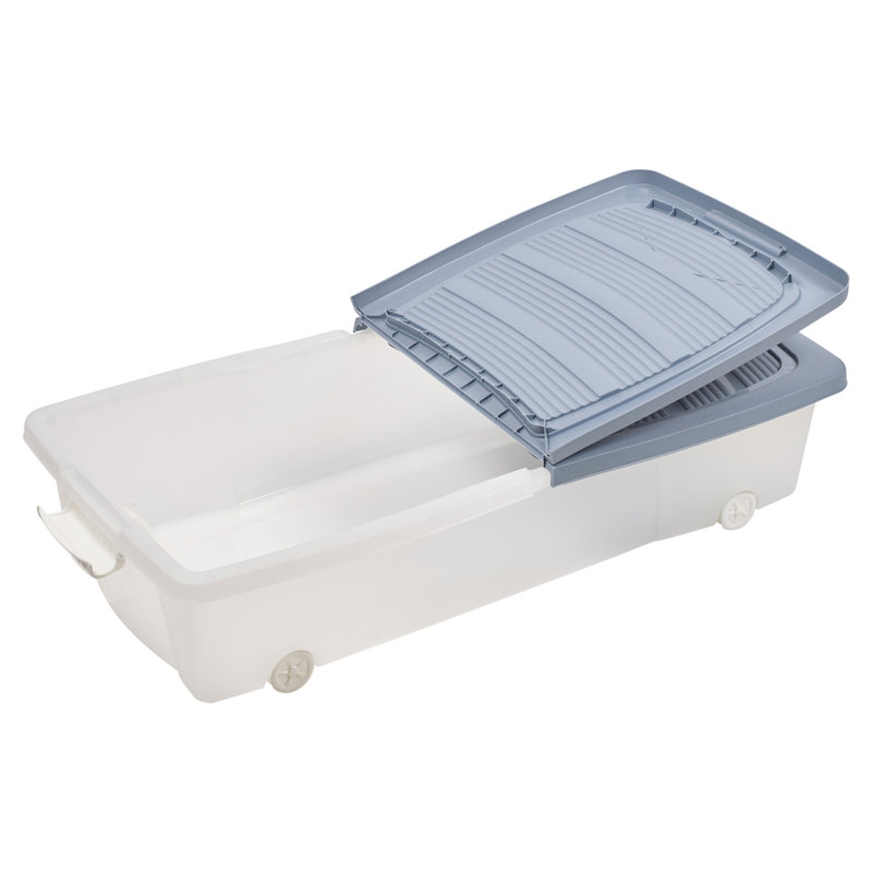 Rebrilliant Plastic Decorative Bin, Blue