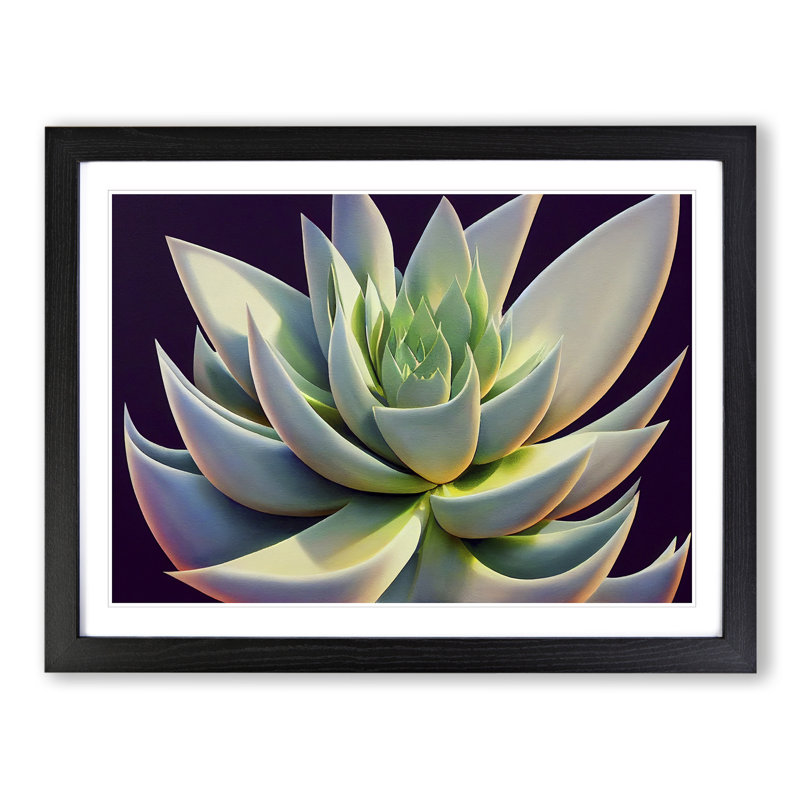 Ravishing Succulent Plant - Single Picture Frame Print, 25cm H x 34cm W x 2cm D, Black Framed