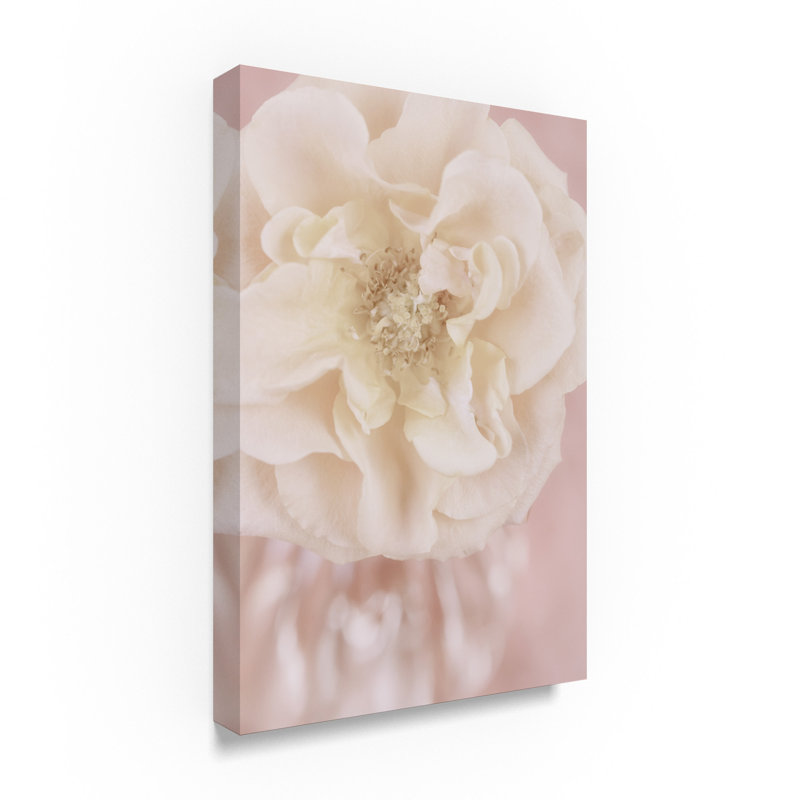 « rose gold », reproduction de photo sur toile tendue, H 19 po x l 12 po