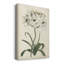 «Garden V», impression sur toile tendue-1690118047