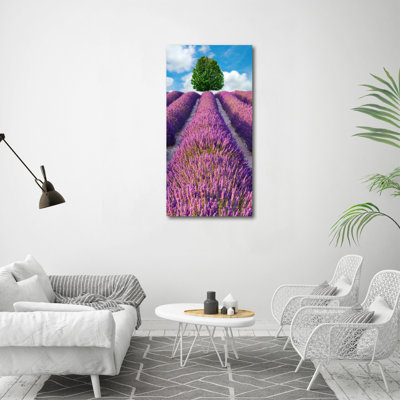 Lavender Field - Wrapped Canvas Print