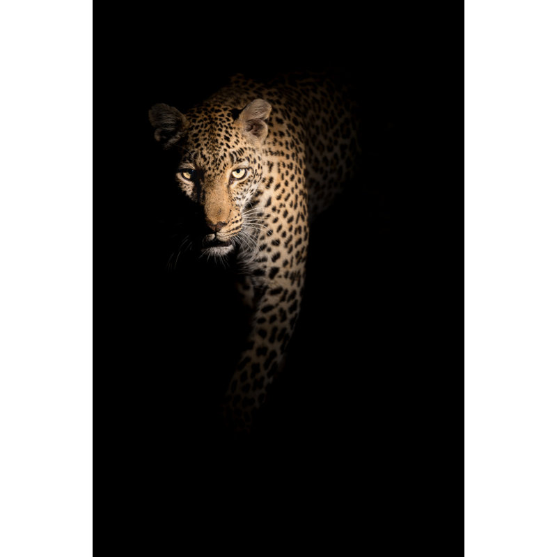 Wrapped Canvas Print, 50.8 cm H x 76.2 cm W