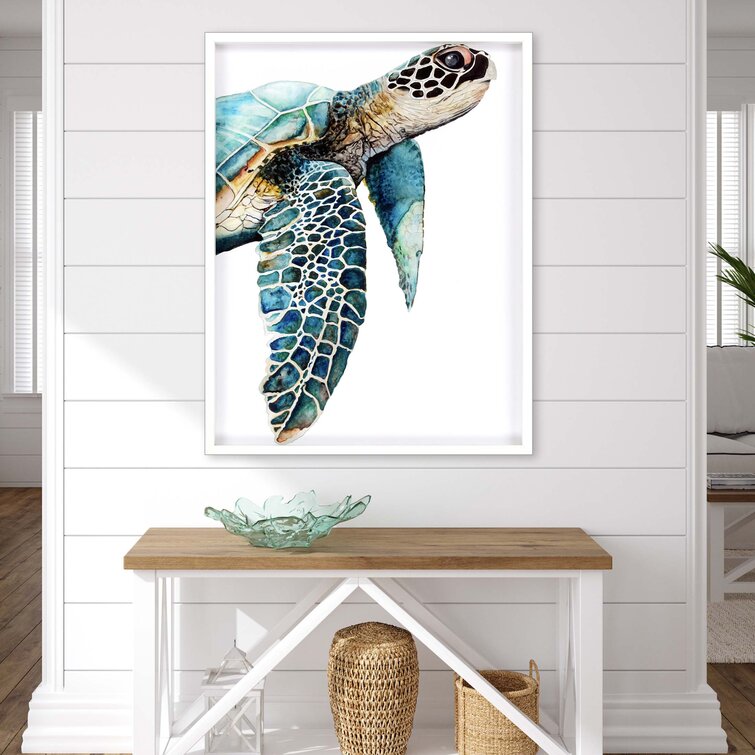 framed turtle art