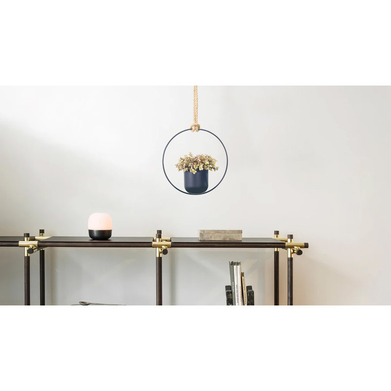 Ray Hanging Planter, 13" H x 5" W x 13" D