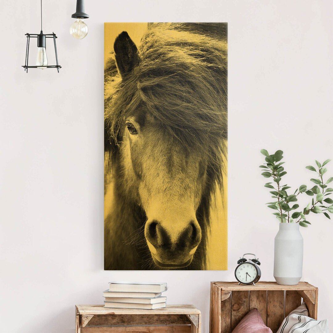 Leinwandbild Gold - Icelandic Horse von Monika Strigel