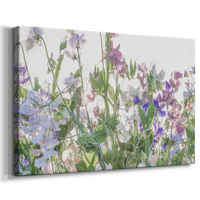 Fields of Spring - Gallery Emballé Cavas